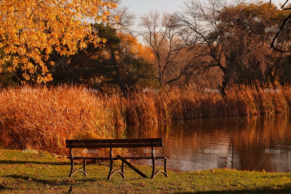 Empty wooden bench in front of river
