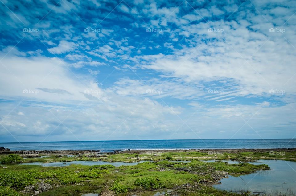 Do you see what I see? Let’s do to the sea!