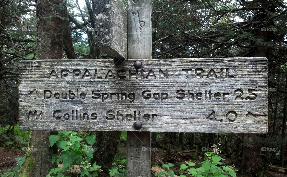 Trail Sign