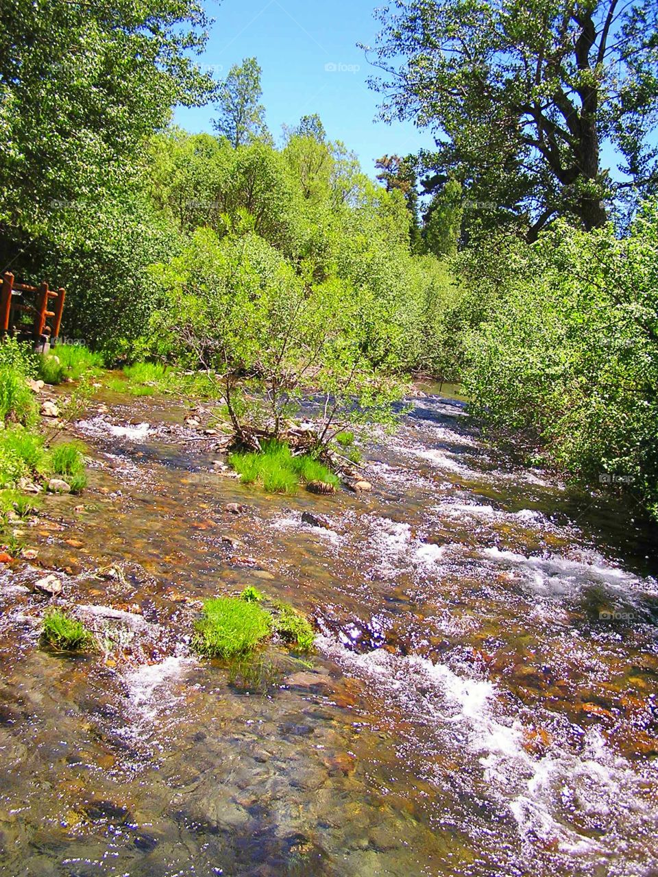 Rushing Home. another shot of mother nature