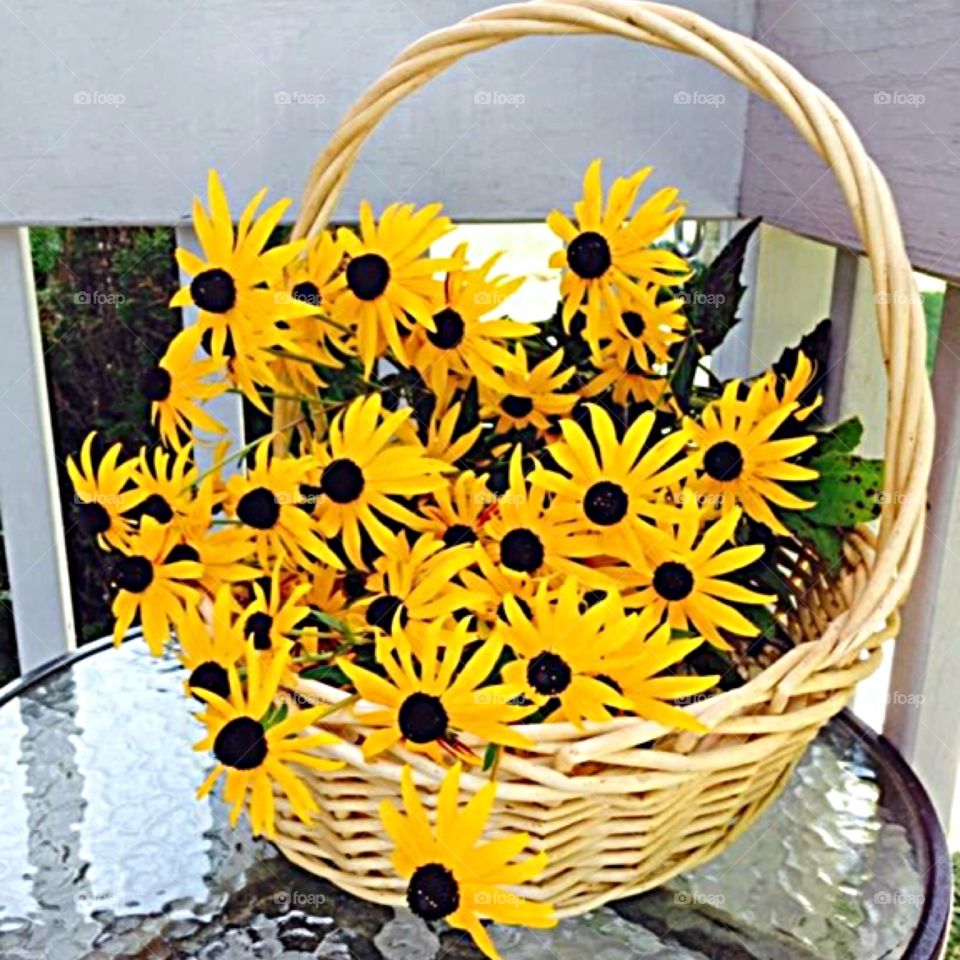 A basket of sunshine