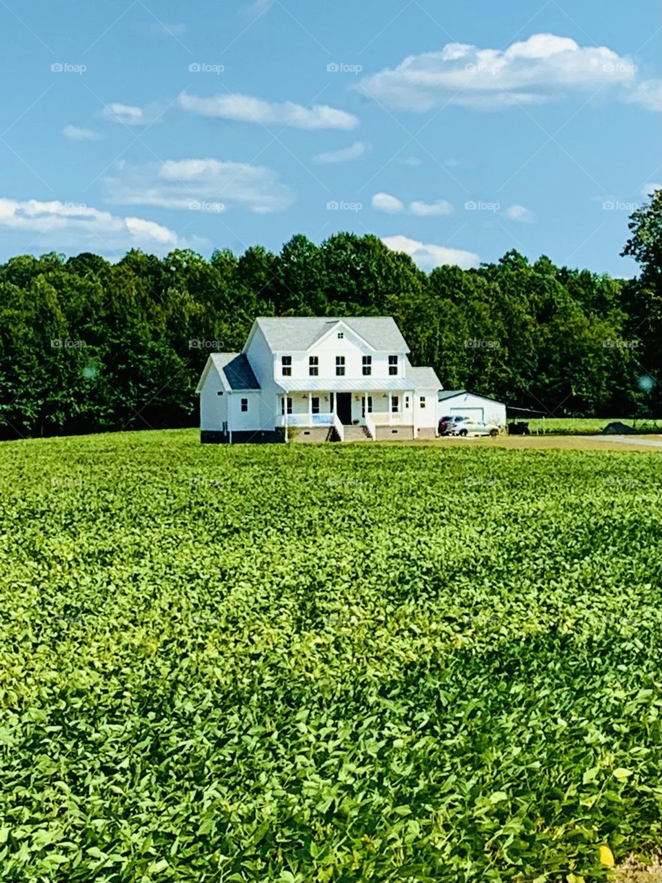 Farmhouse 