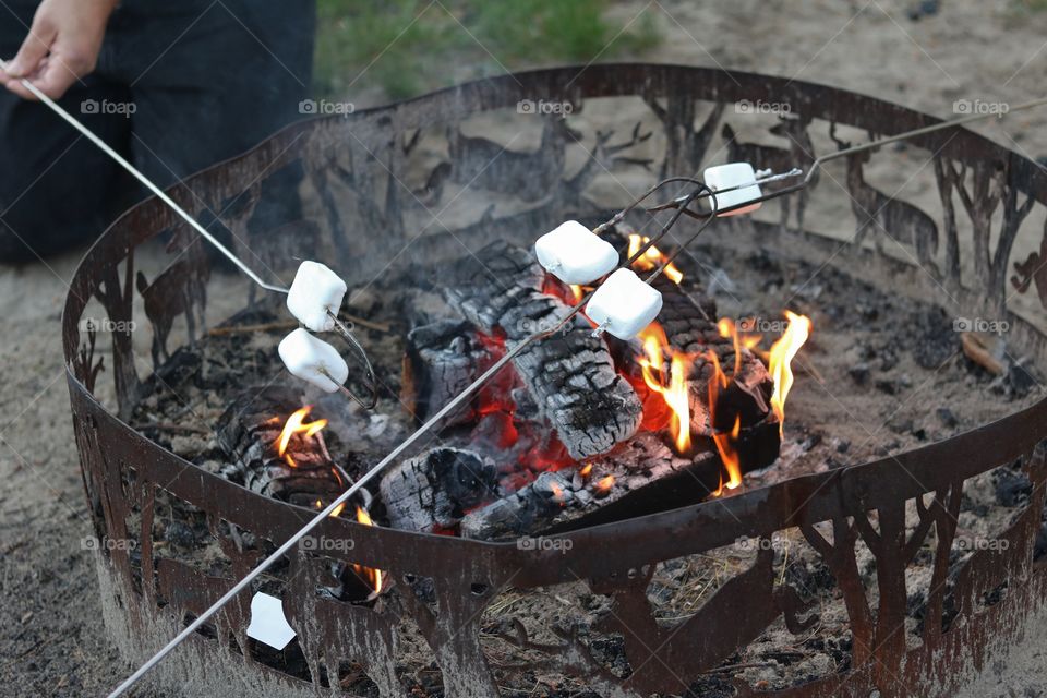 Roasting Marshmallows