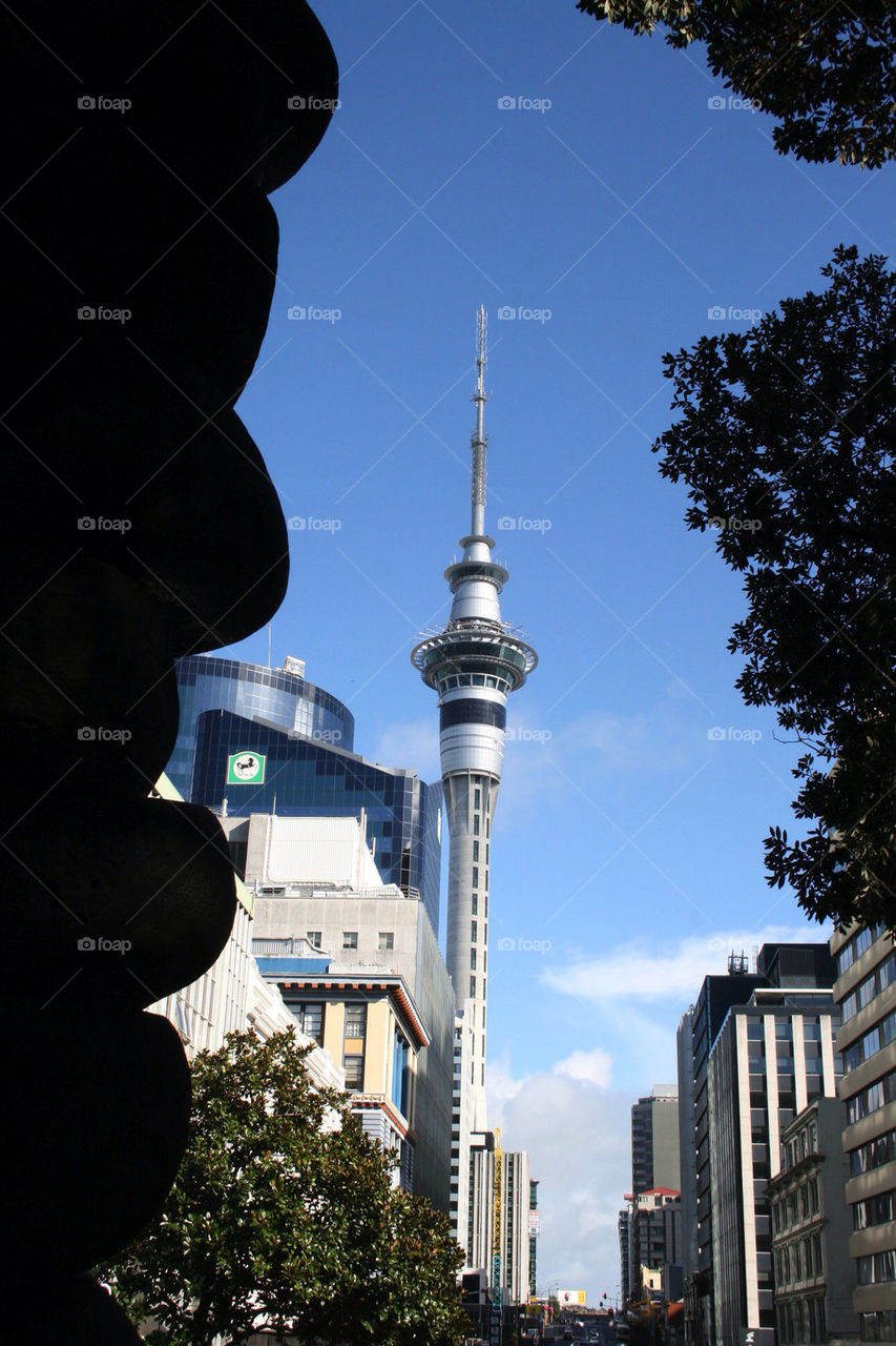 sky city travel trees by mmcook