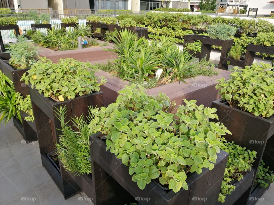 Greenhouse, Garden, Flora, Pot, No Person