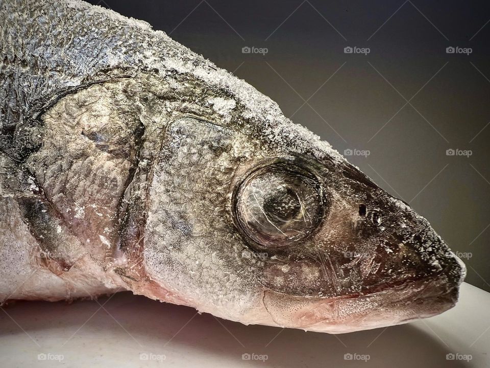 Frozen raw fish head