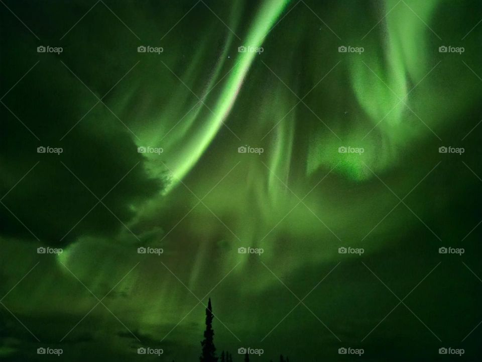 I never grow tired of the lights.