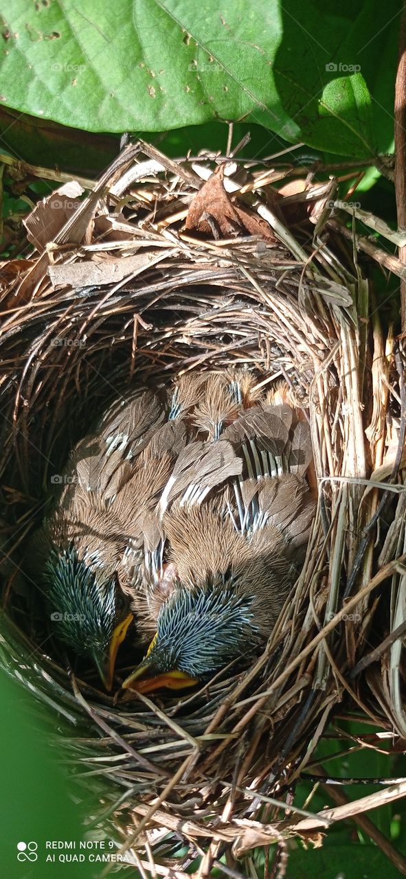 so cute 😍 loved it