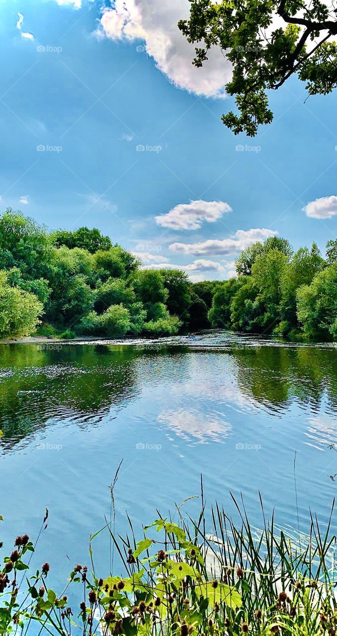 combination of nature