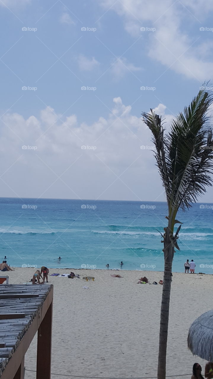 Beach, Water, Seashore, Ocean, No Person