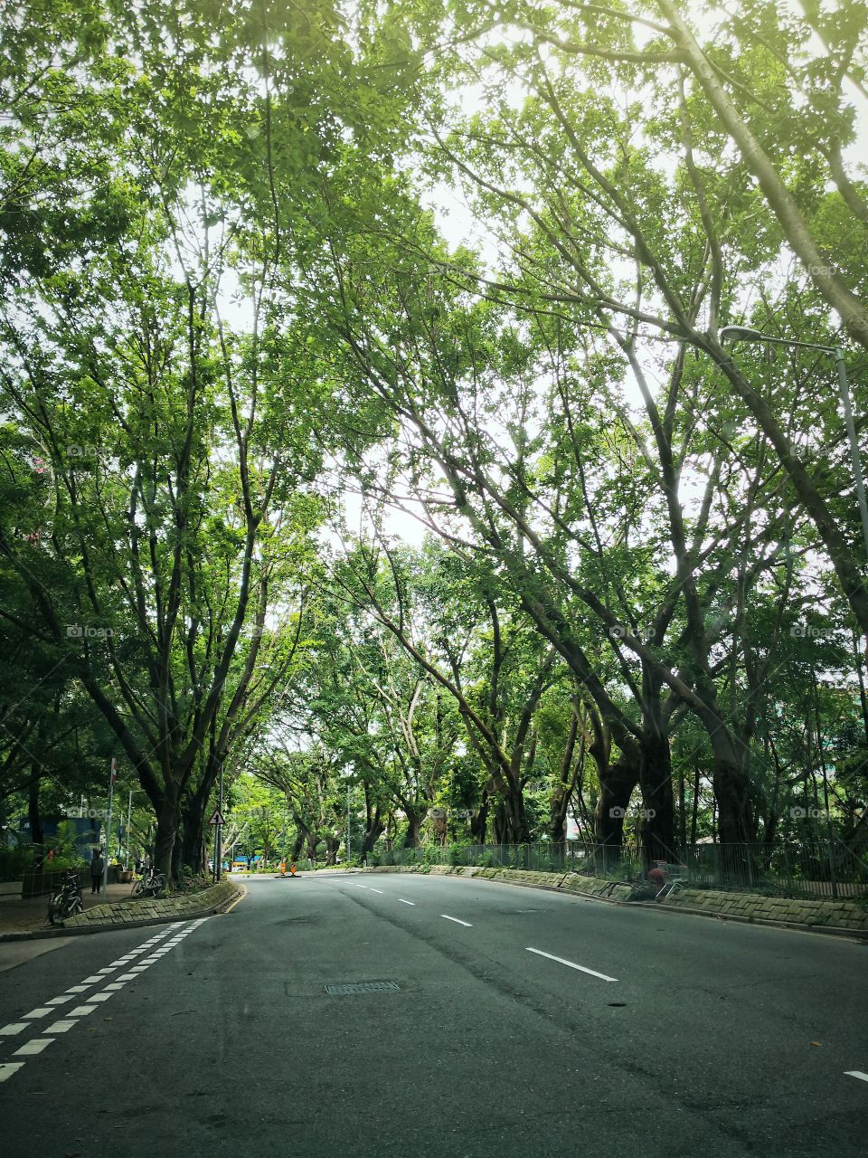 Green Road