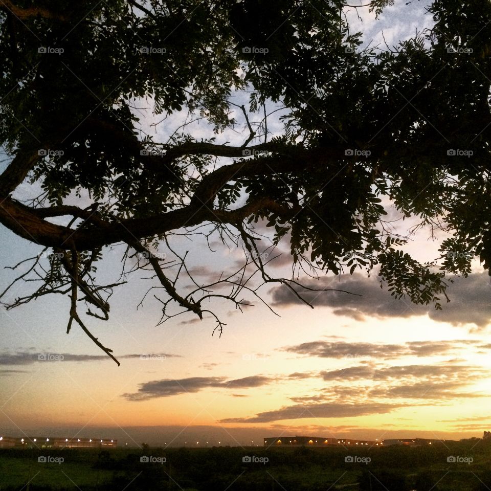 Uma paisagem bacana do amanhecer caipira de uma 3a feira serena. Viva a Natureza!