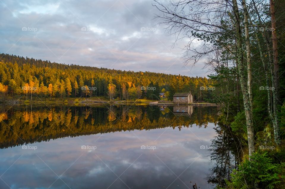 Autumn trees reflecting on lake