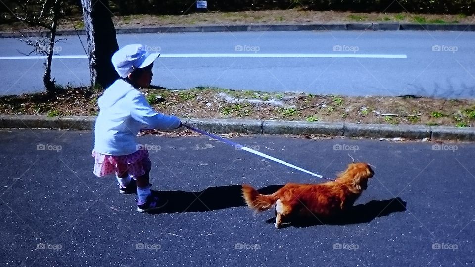 Small girl with dog on street