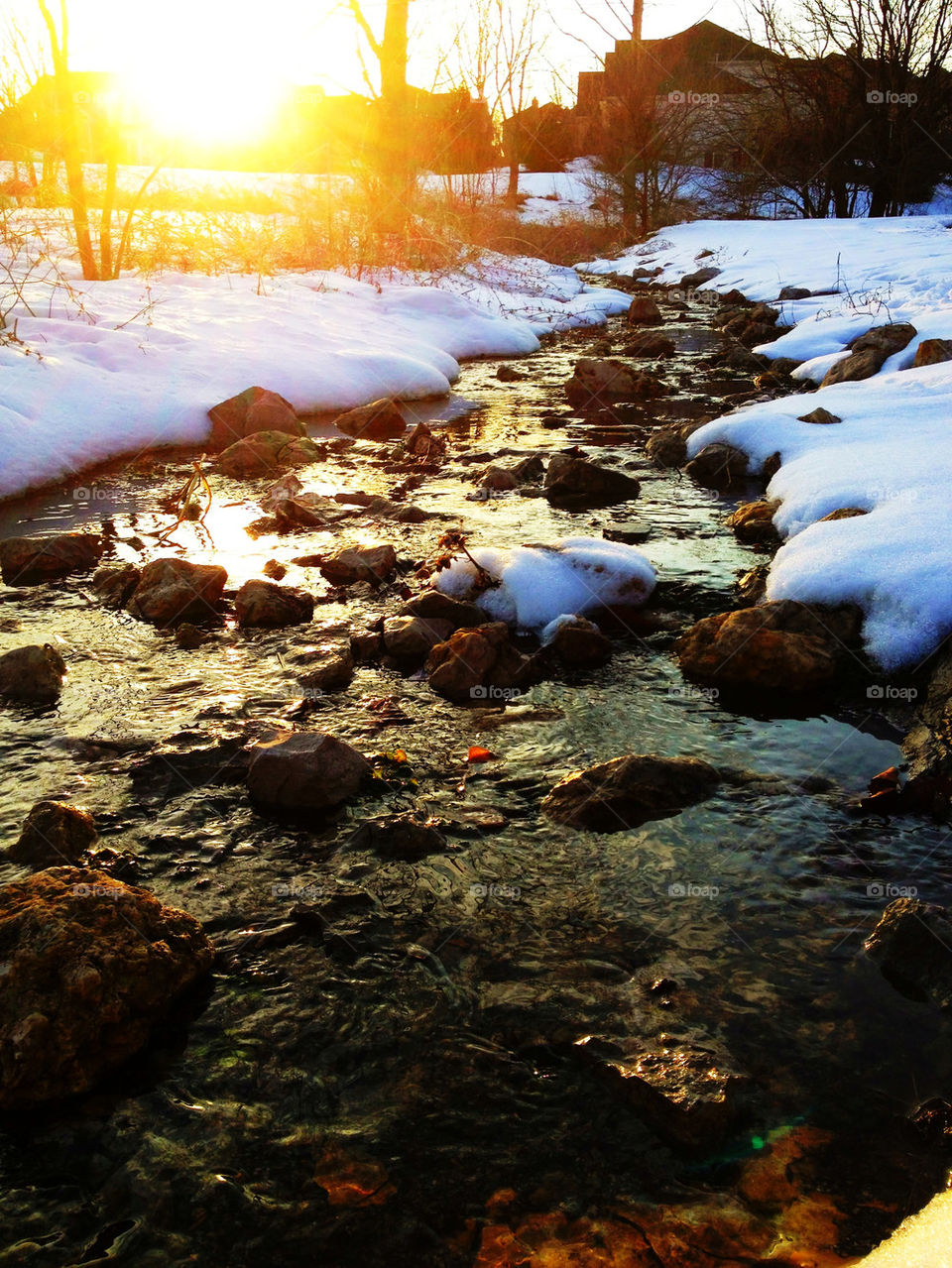 One of my prized photos. Rate well