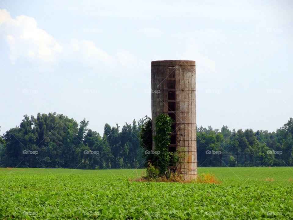Lonesome silo