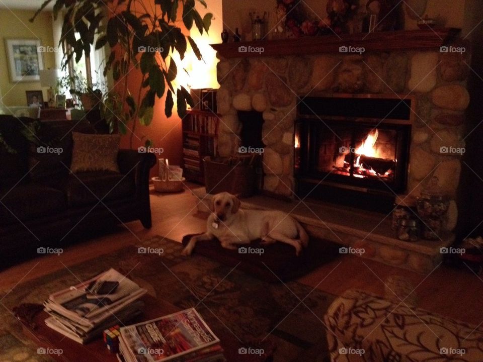 Cozy up by the fireplace