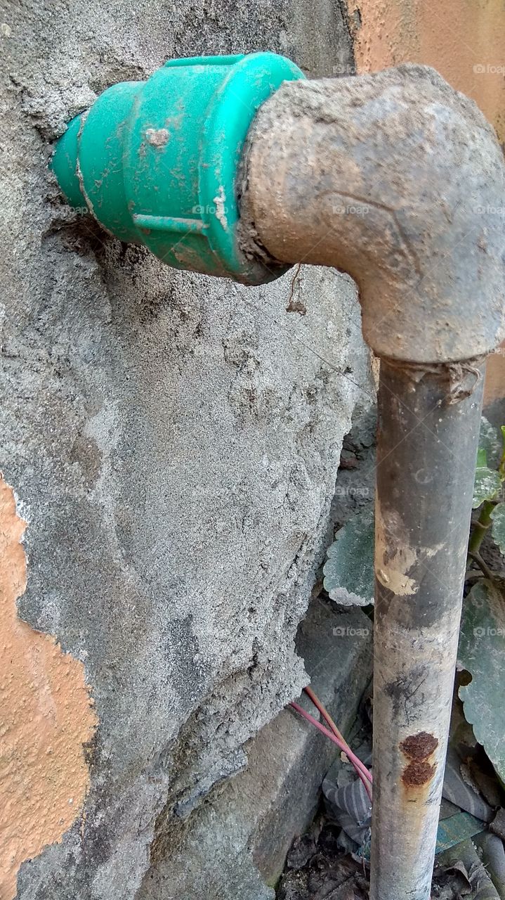 plastic vs g. iron life