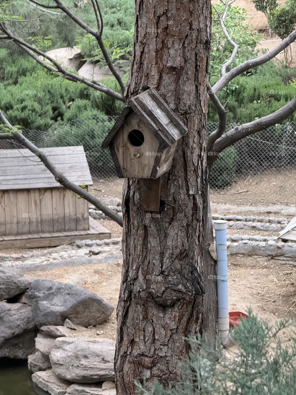 A bird's nest on top of a tree, made by human hands