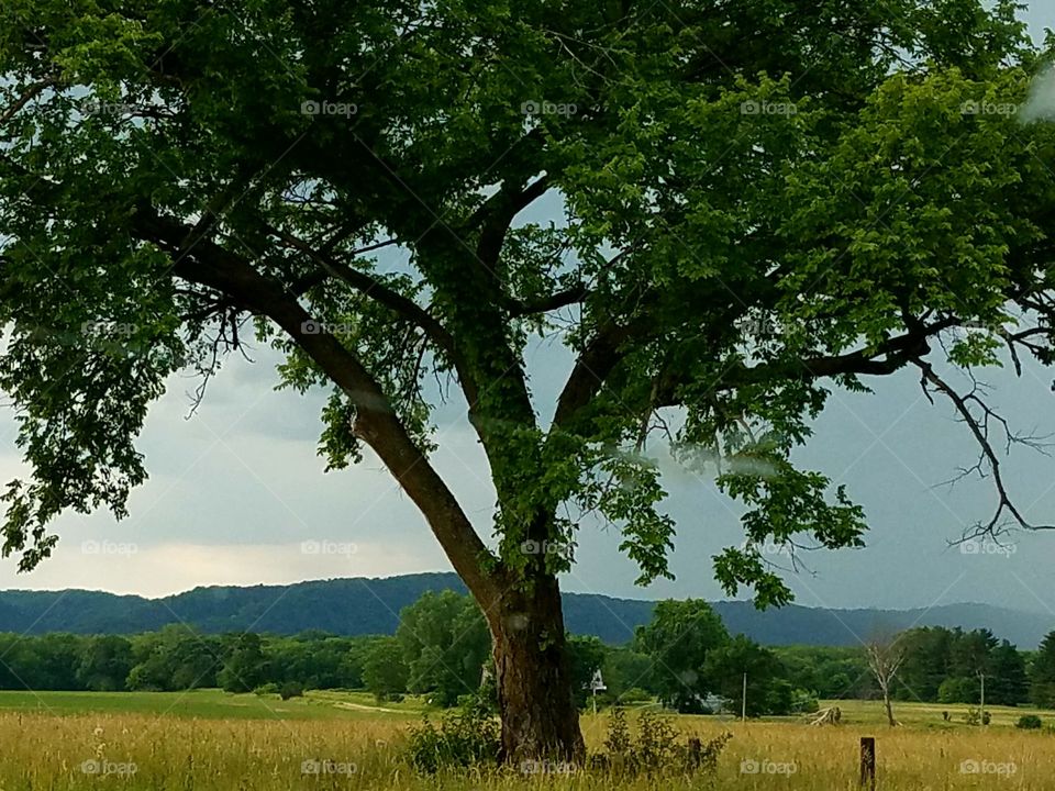 Driving the Back Roads and enjoying w
