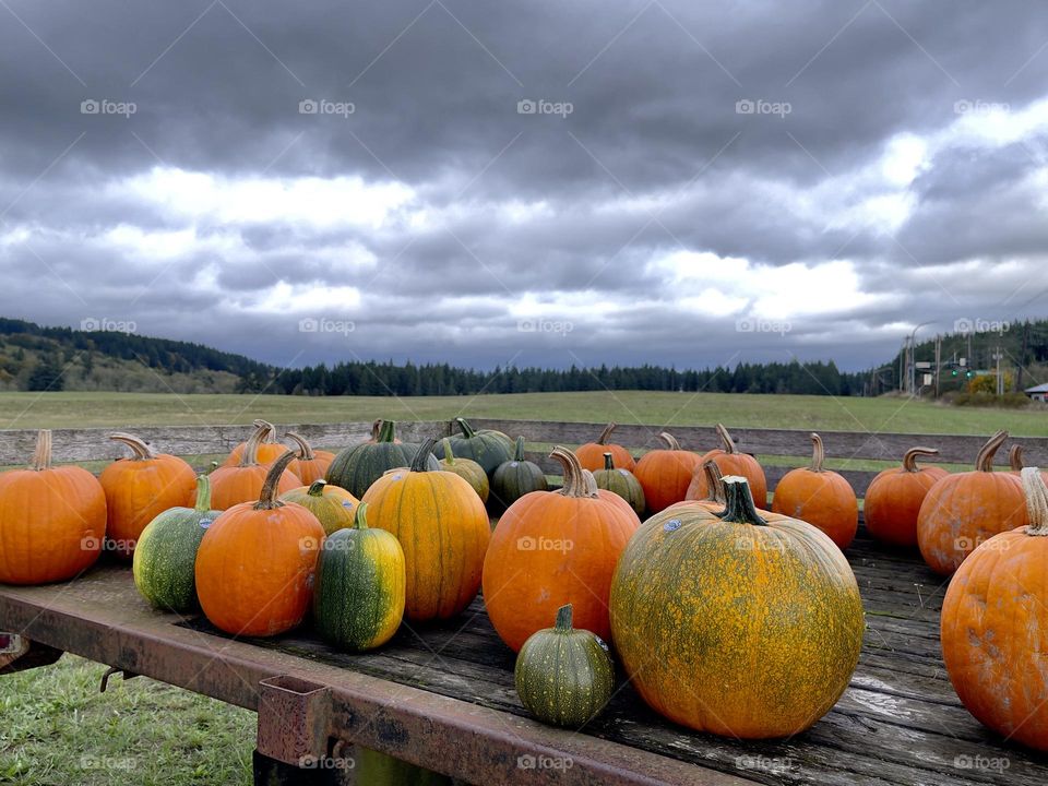 Cloudy autumn landscape with pumpkins 