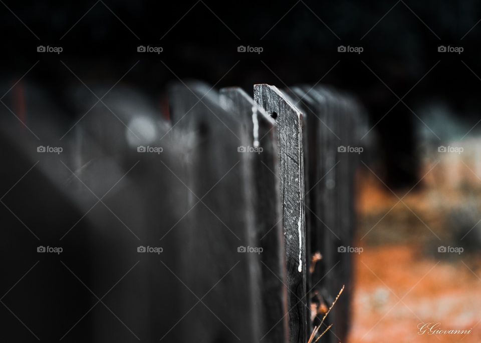 fence