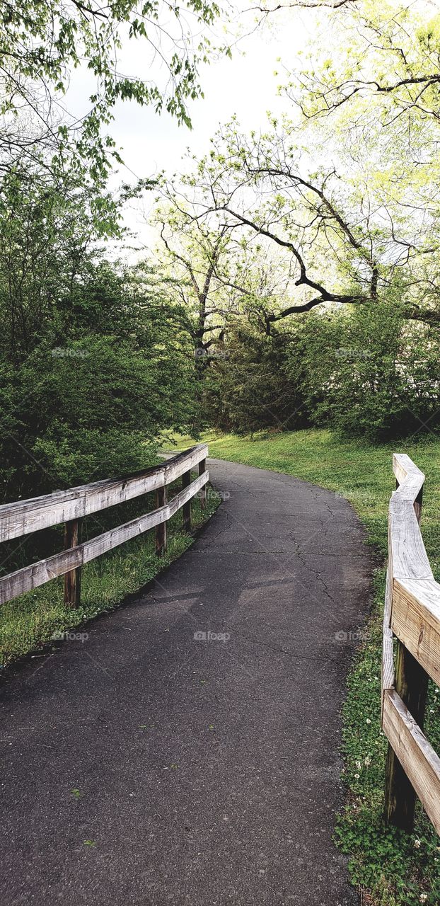 paved path into the woods