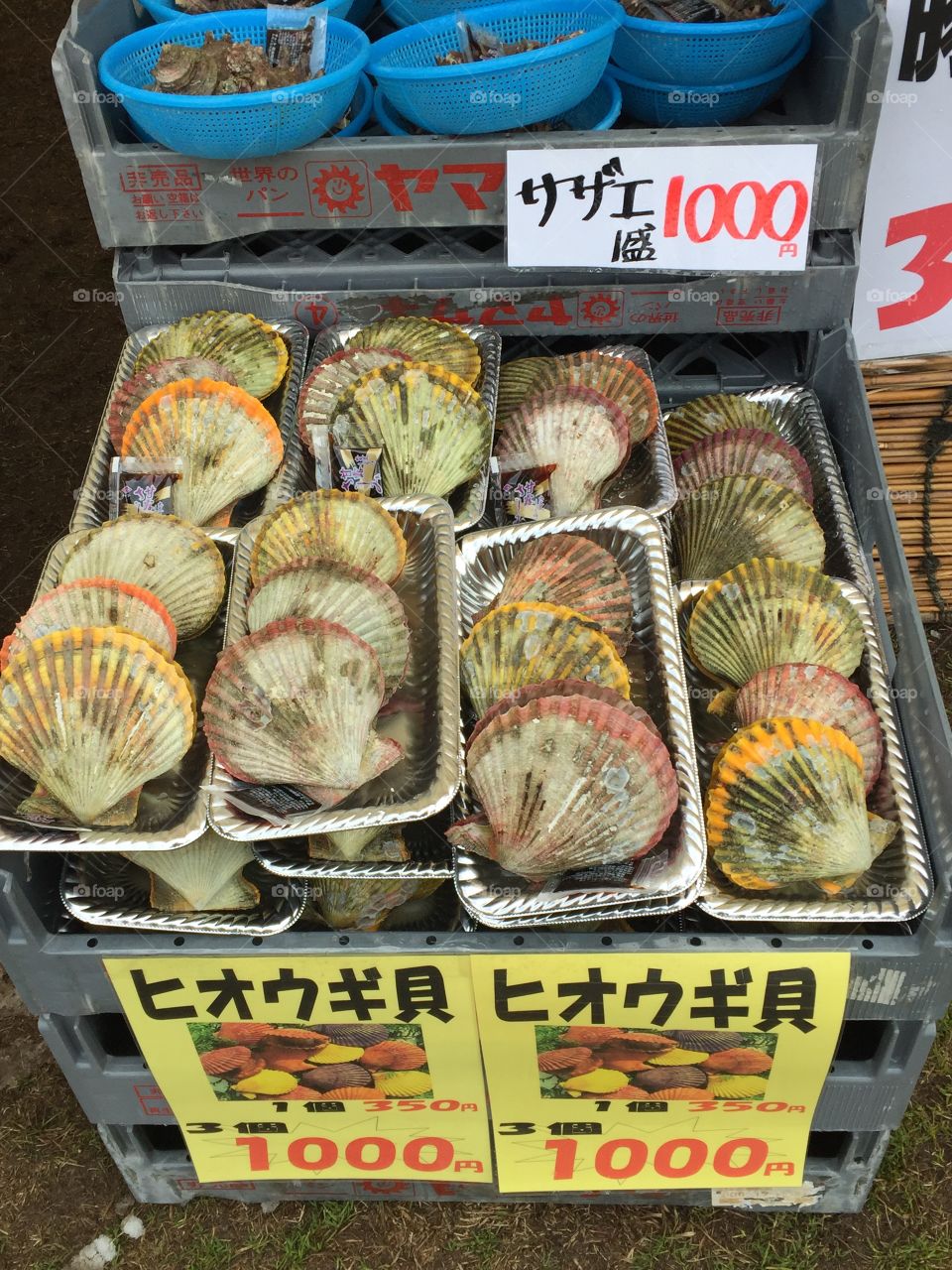Shellfish at a Japanese market