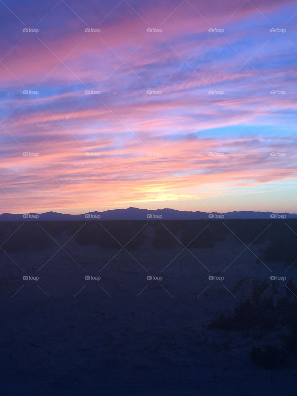 California desert sunset 