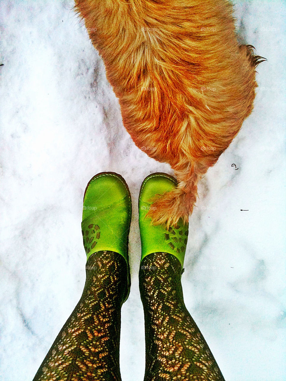 snow winter green sweden by piaktw