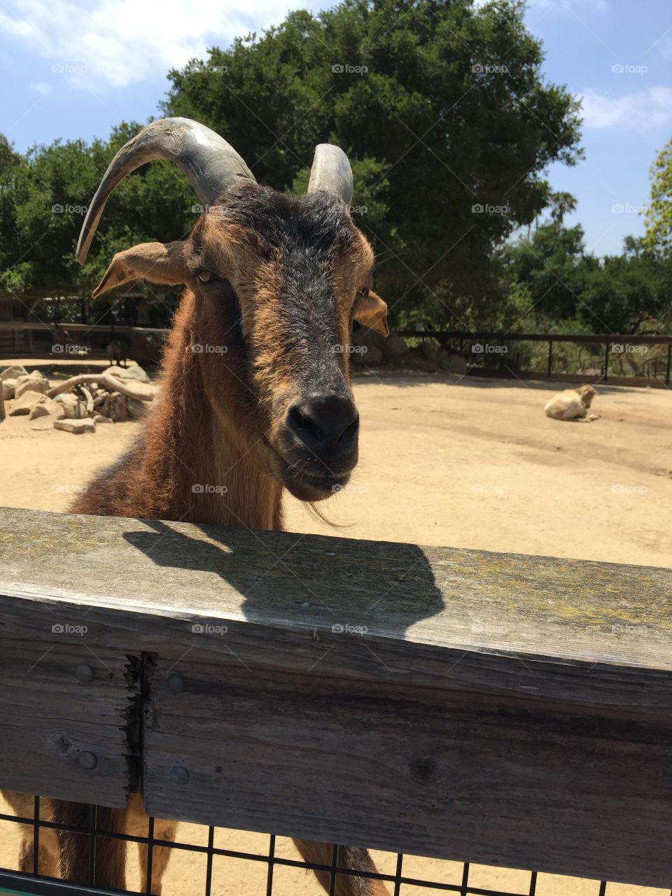 Santa Barbara zoo