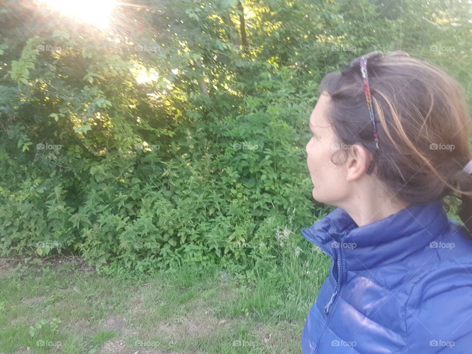 Looking between the green leaves at the sun that will soon set. Early evening view, outside.