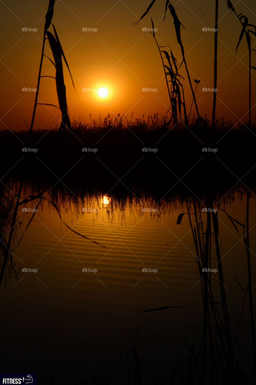 Be grateful for every sunrise because sunset is not promised to anyone