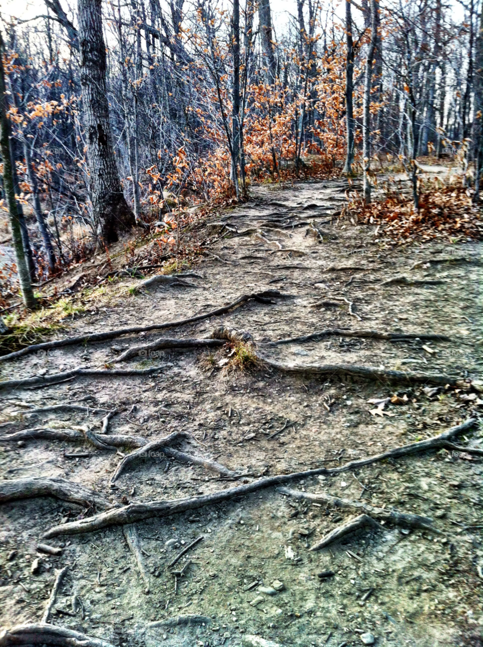 hiking roots racine wi by doug414