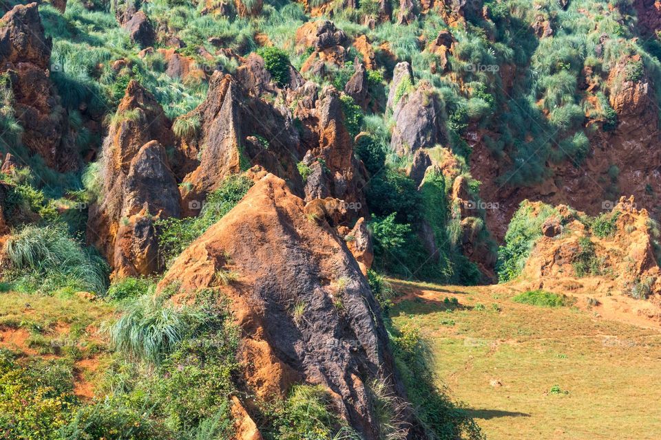 Brown bear (Ursus arctos) on a rock formation, at the Natural Reserve of Cabárceno. Cantabria, Spain.