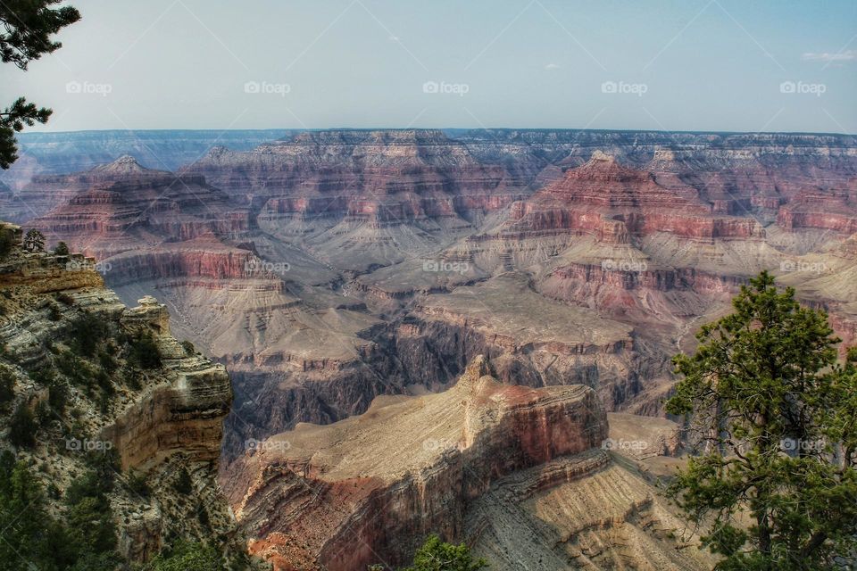 The Grand Canyon