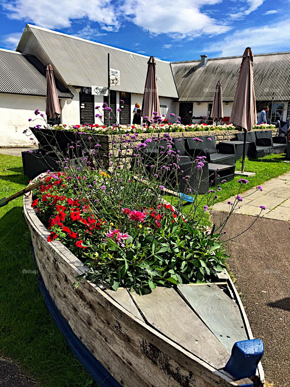 Flowers in a boat! 