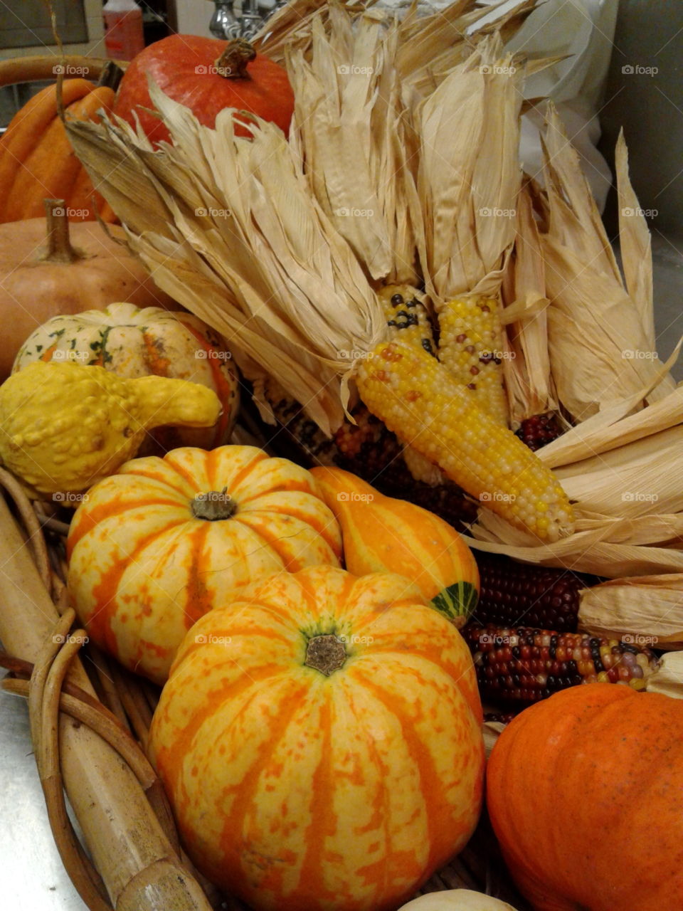 pumpkins and corn