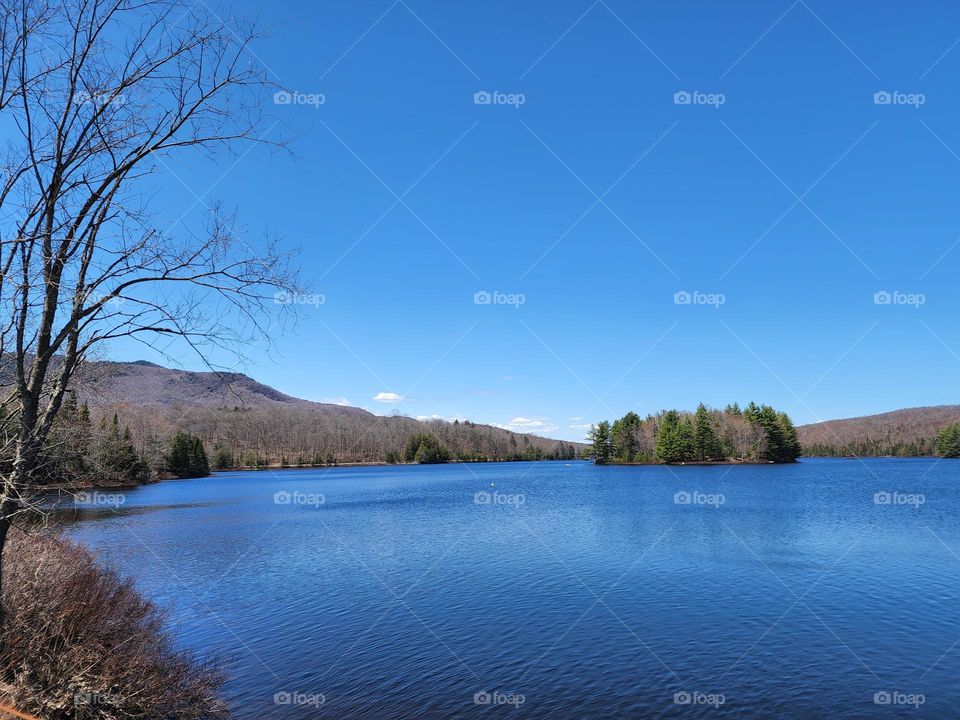 Sunny Day at the Lake