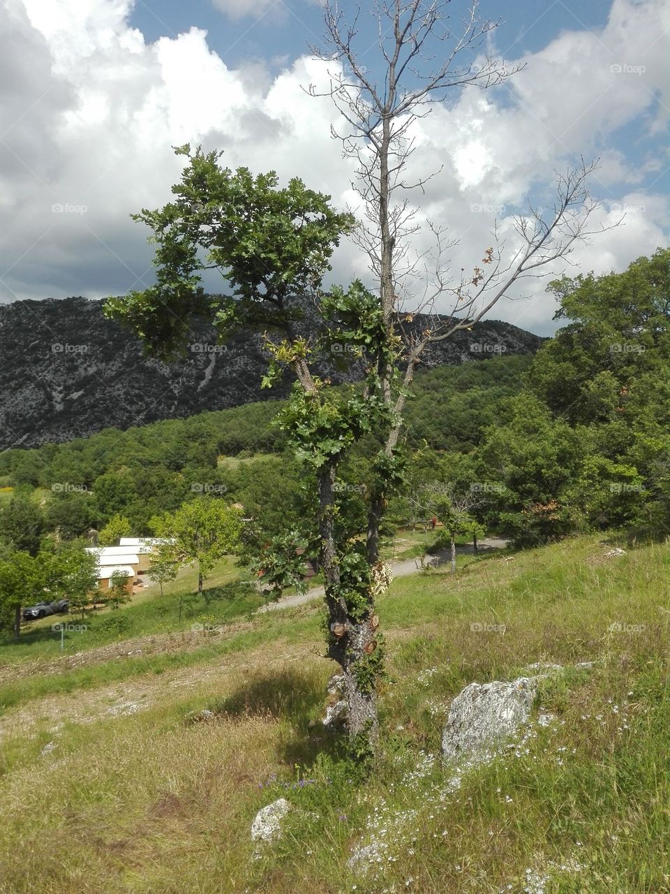 The gorges du Verdon , Ardèche , France
