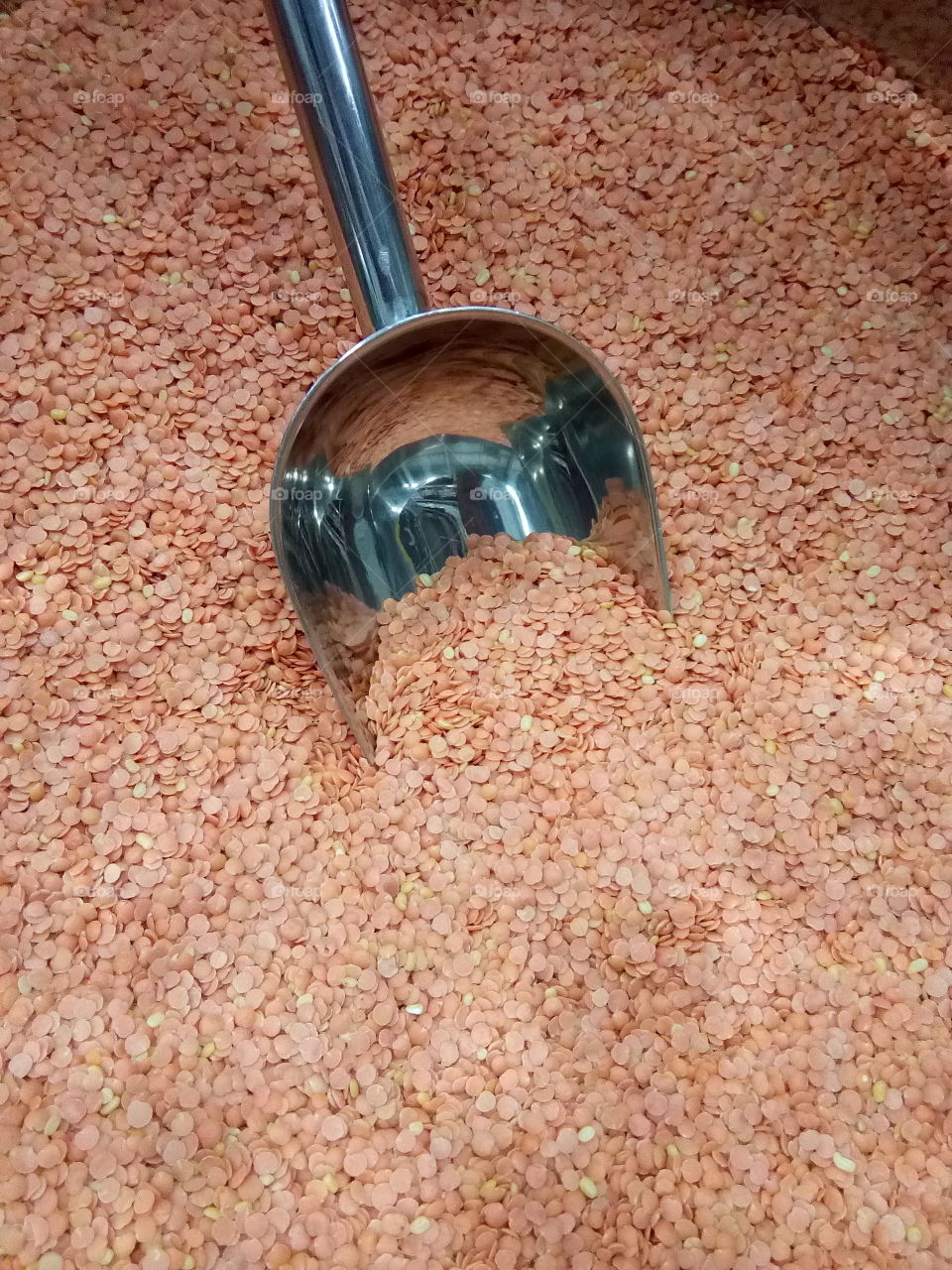 lentil pulse- a vegetarian dish