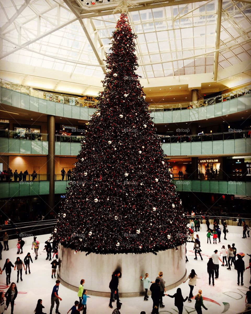 Christmas tree and ice skating 