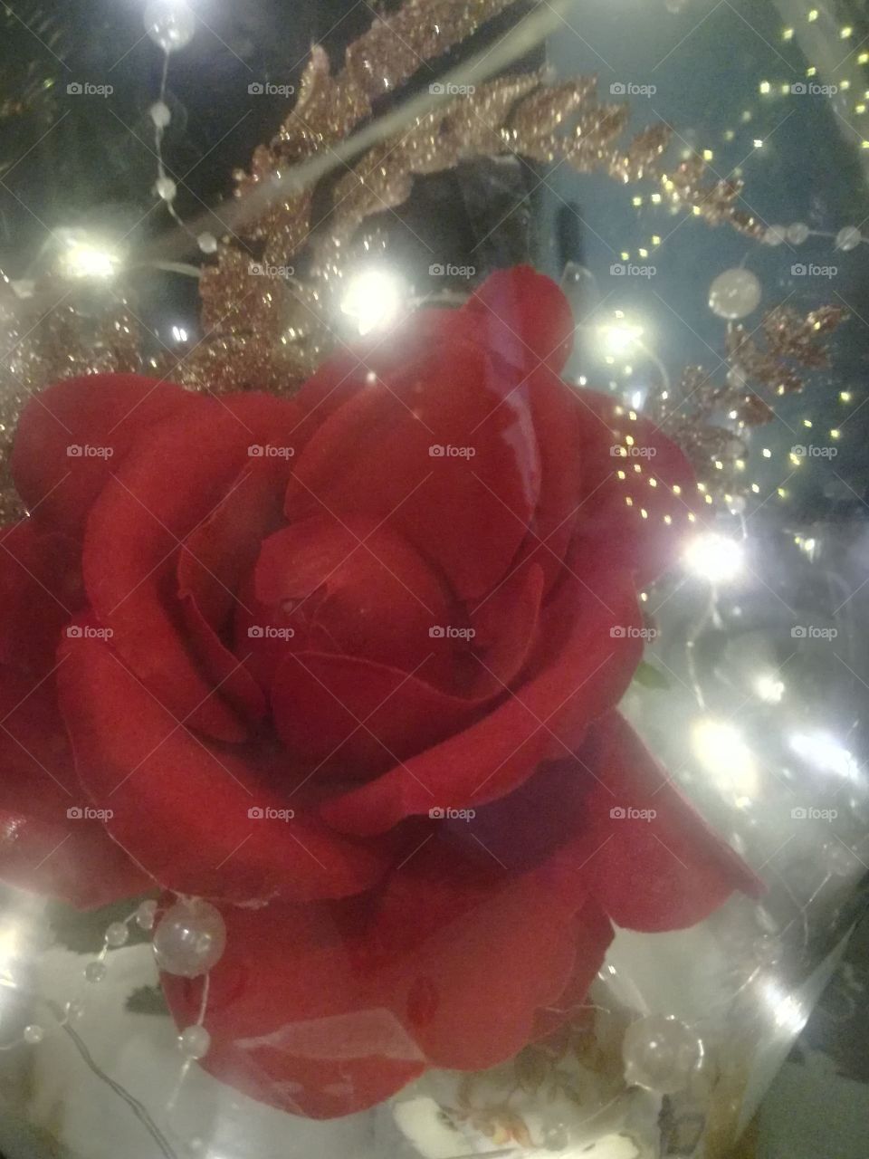 Rose Blume Deko Licht Gold Glas