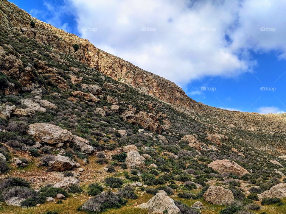 Countryside of Bethlehem, hiking in the valley of Wadi Jahar