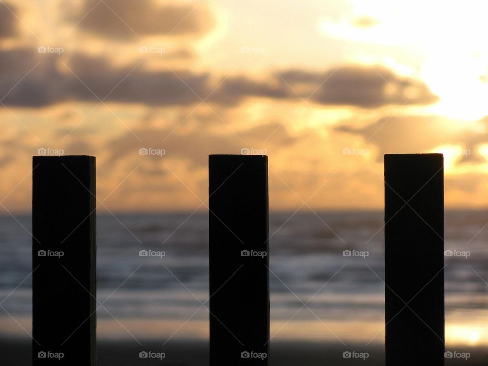 Down by the seashore 