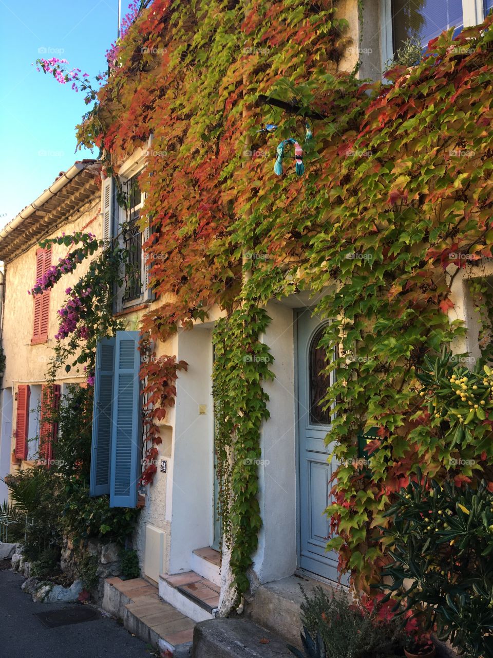 Houses in Antibes old city