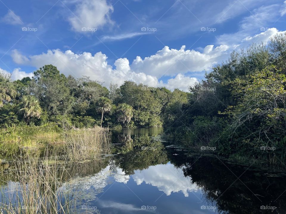 Beautiful Day in South Florida 