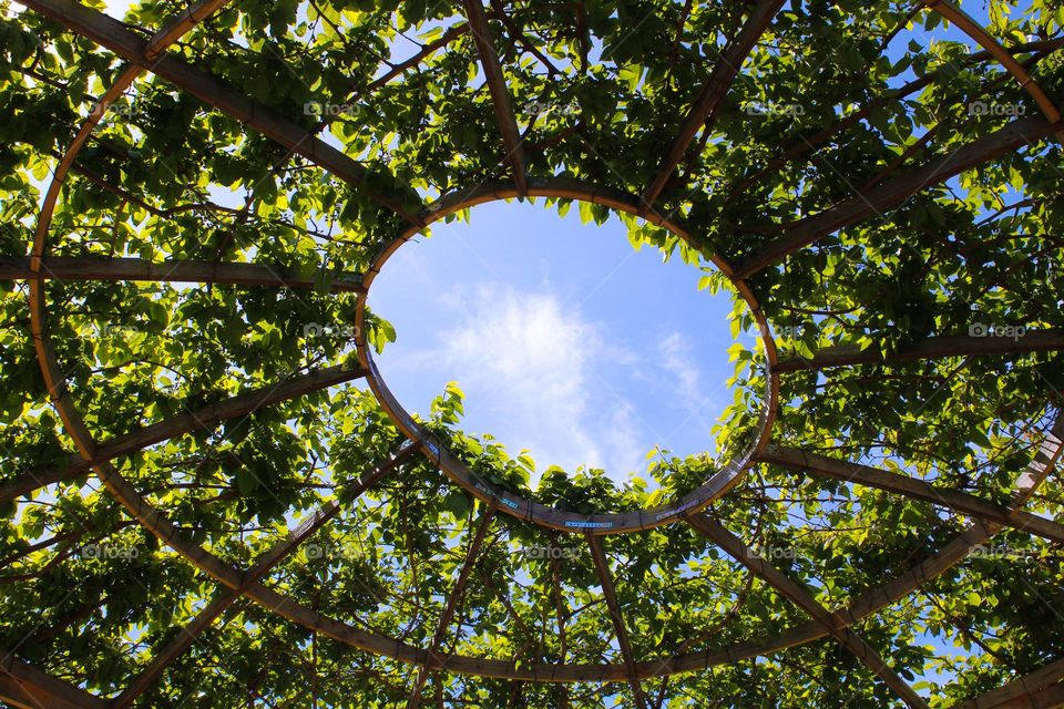 A view of the bright blue sky through the round opening of the canopy decorated with climbing plants