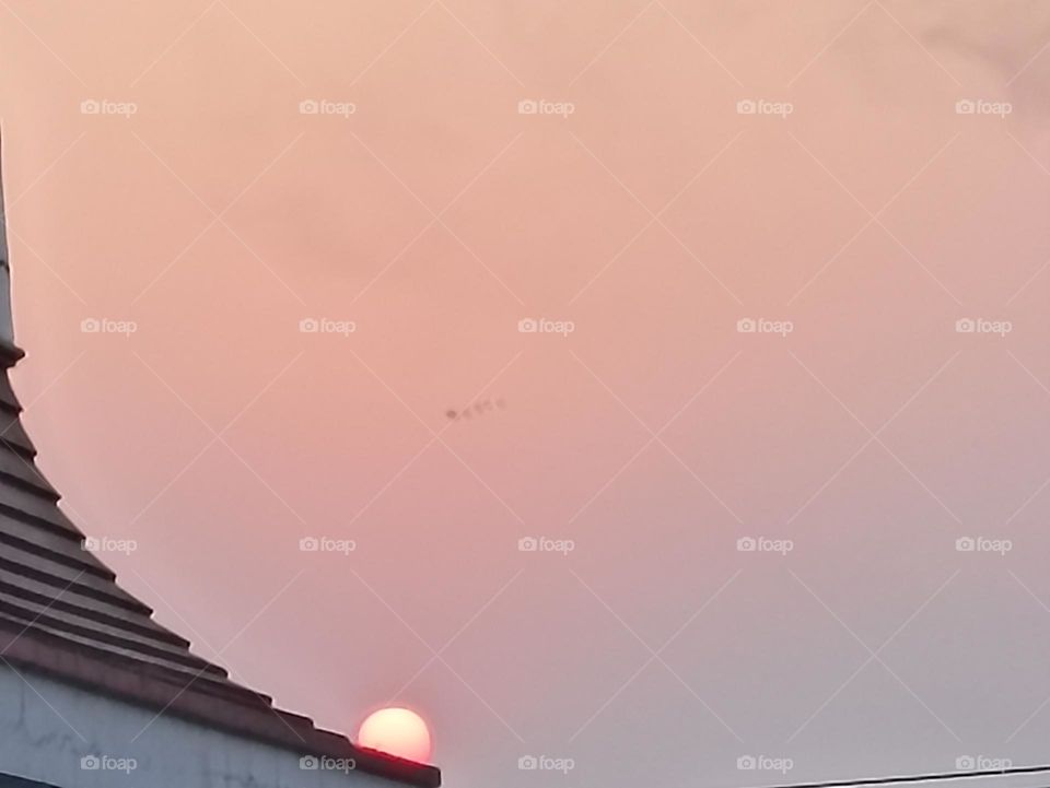 beauty is the sun that is the perfect combination of bold colors of red and green that nature has fallen in love with so deep into it in the sky.