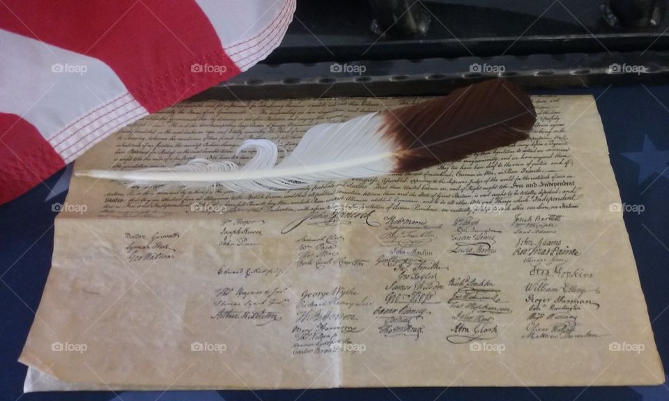 constitution display